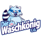 Logo Der Waschkönig C.G.